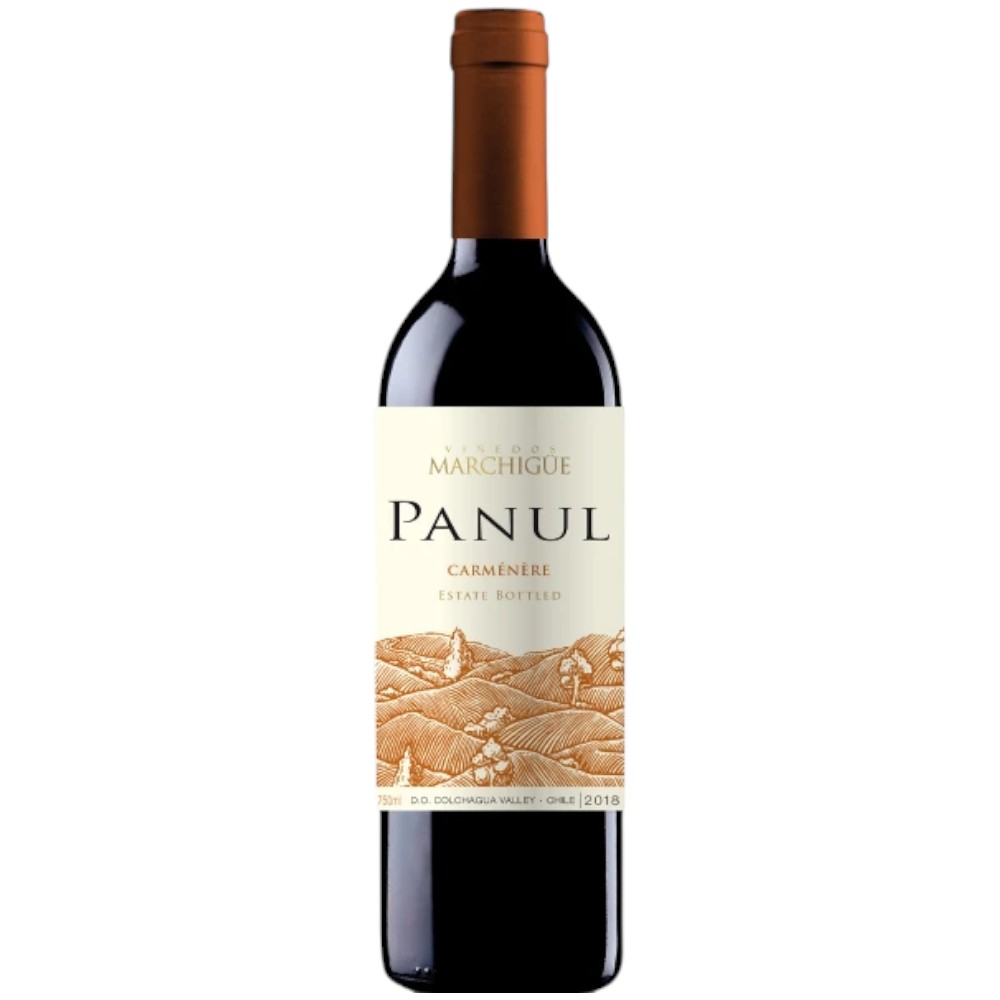 VINO PANUL CARMENERE